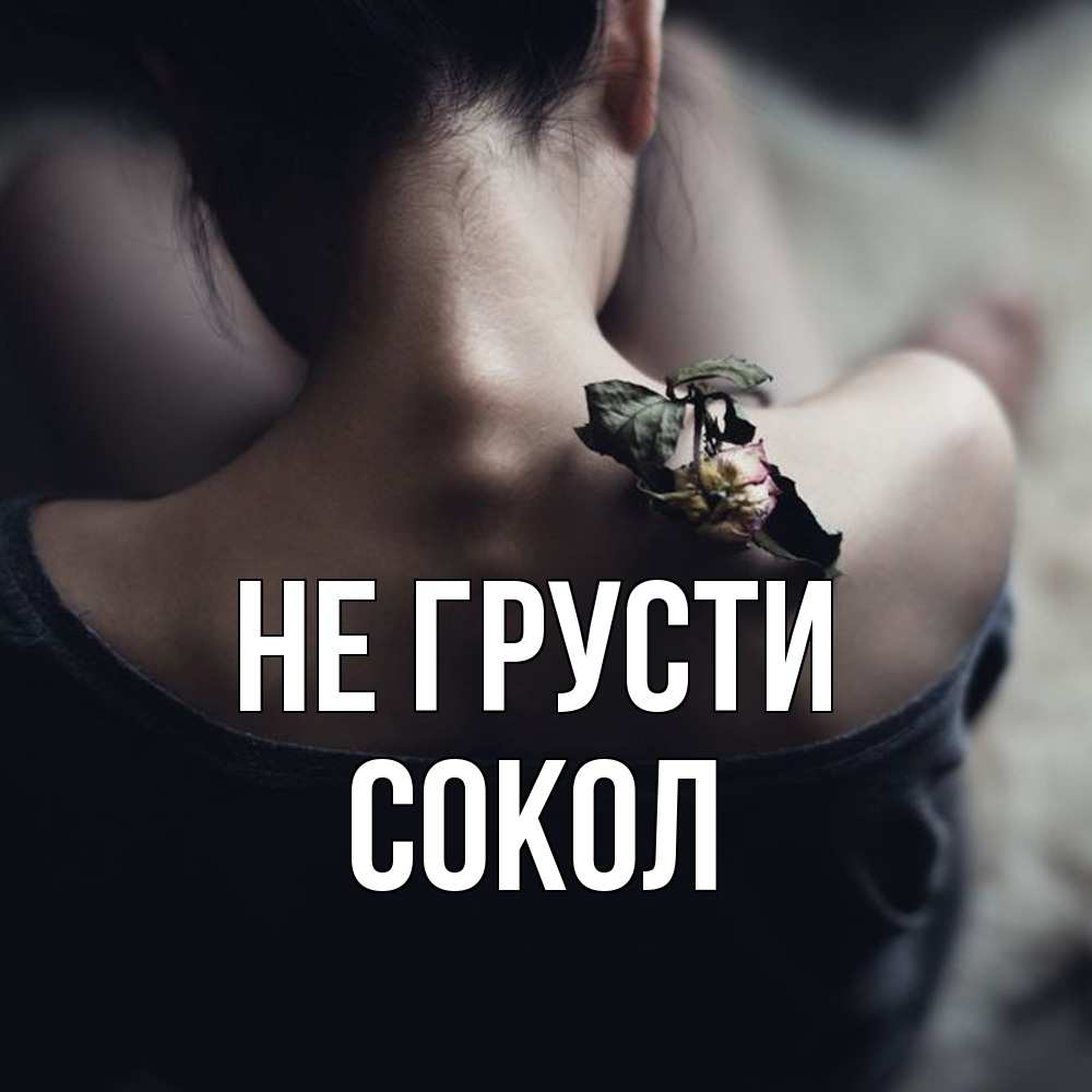 Открытка на каждый день с именем, Сокол Не грусти девушка со спины Прикольная открытка с пожеланием онлайн скачать бесплатно 