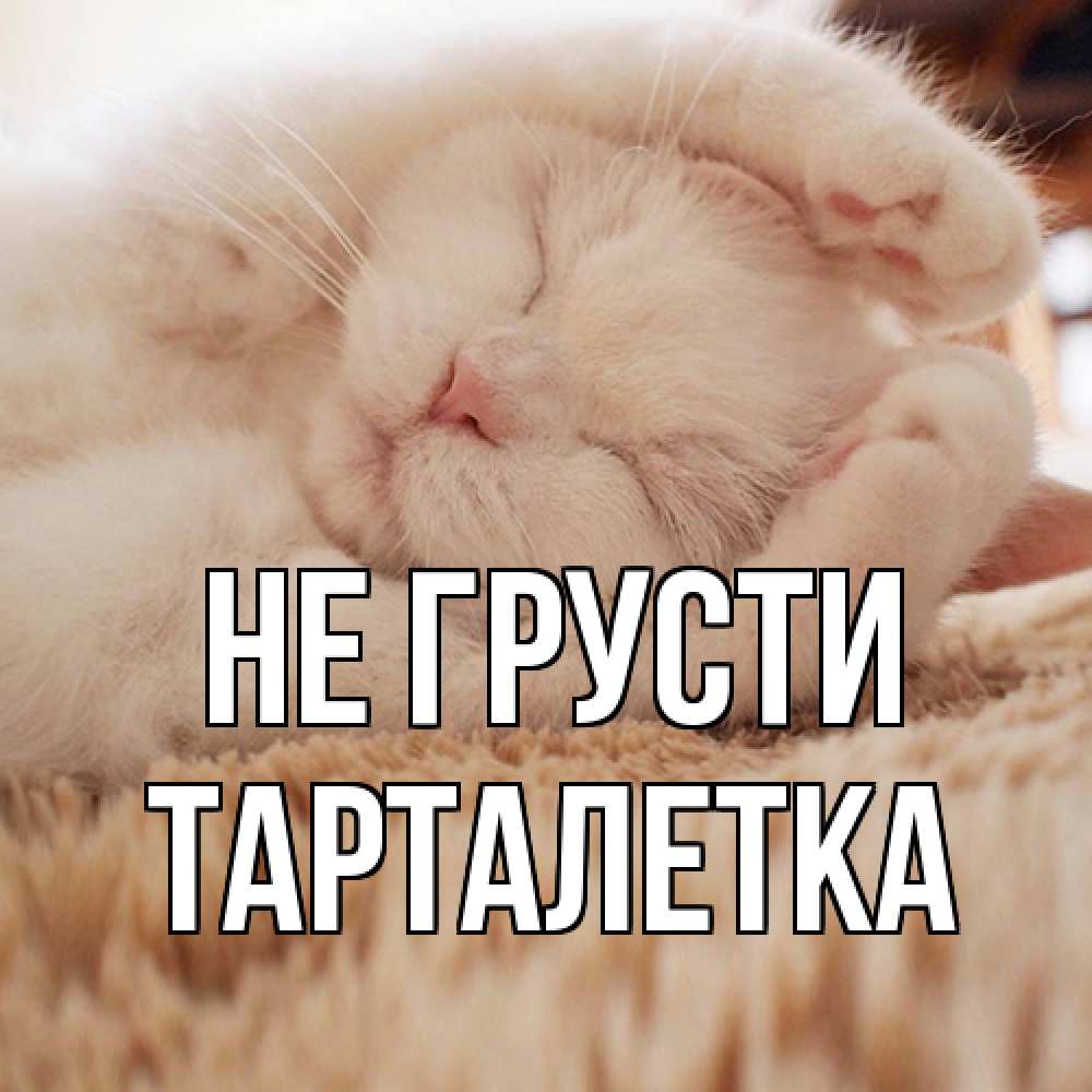 Открытка на каждый день с именем, Тарталетка Не грусти белый кот Прикольная открытка с пожеланием онлайн скачать бесплатно 