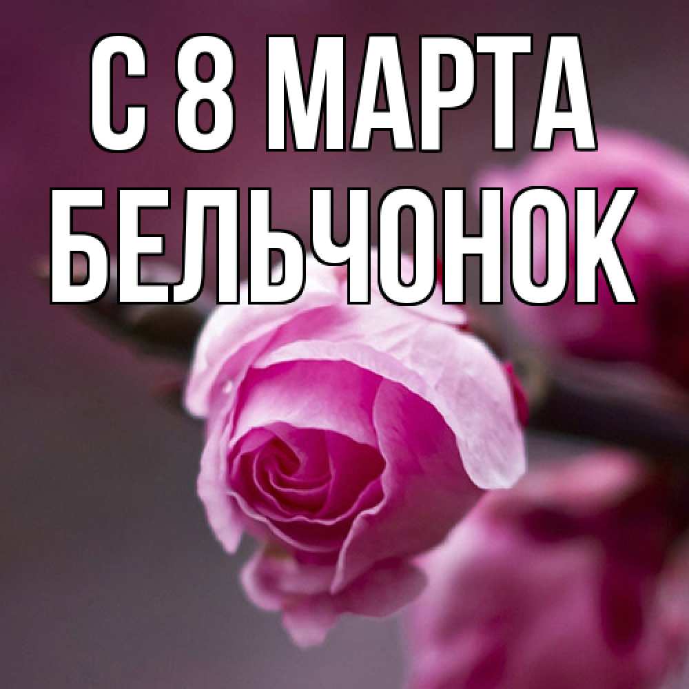 Открытка на каждый день с именем, бельчонок C 8 МАРТА весна Прикольная открытка с пожеланием онлайн скачать бесплатно 