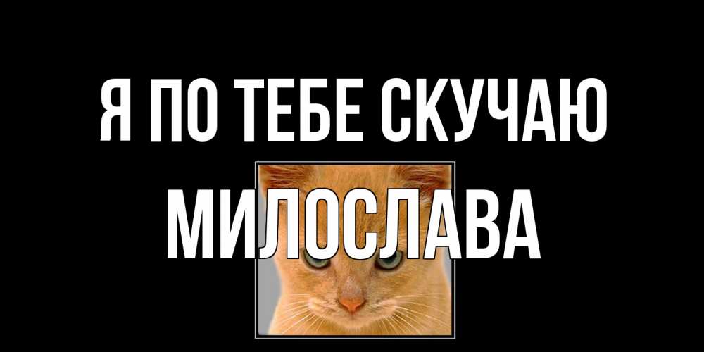Открытка на каждый день с именем, Милослава Я по тебе скучаю открытки рыжий котенок скучает по тебе Прикольная открытка с пожеланием онлайн скачать бесплатно 