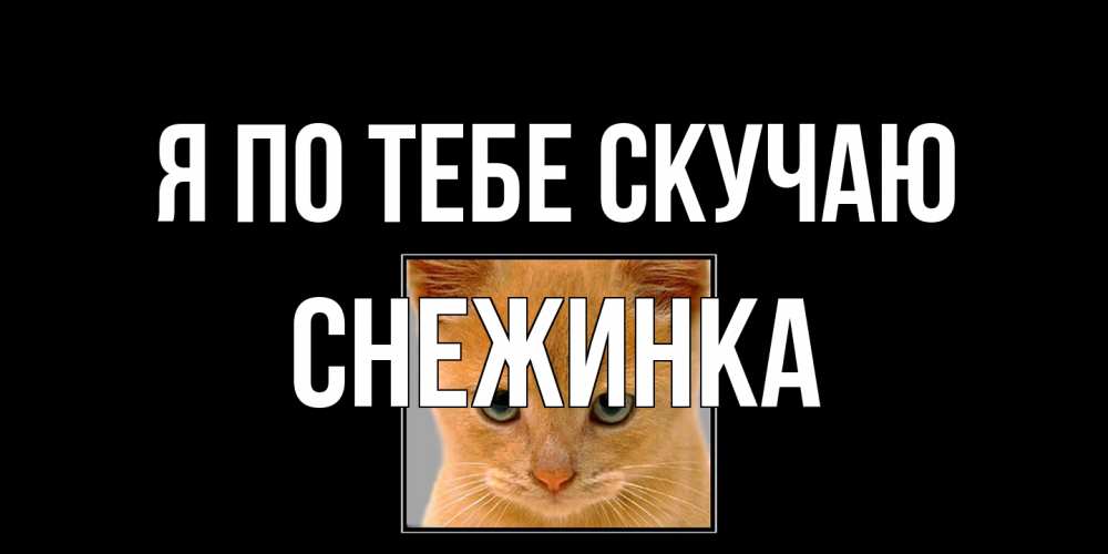 Открытка на каждый день с именем, Снежинка Я по тебе скучаю открытки рыжий котенок скучает по тебе Прикольная открытка с пожеланием онлайн скачать бесплатно 