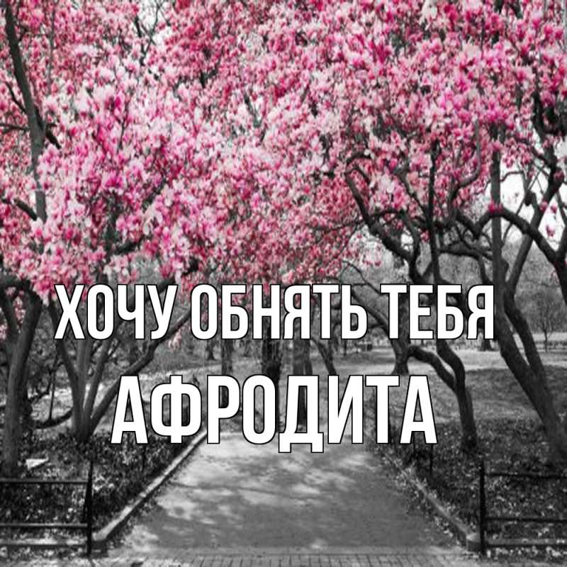 Картинка Хочу обнять тебя, Афродита