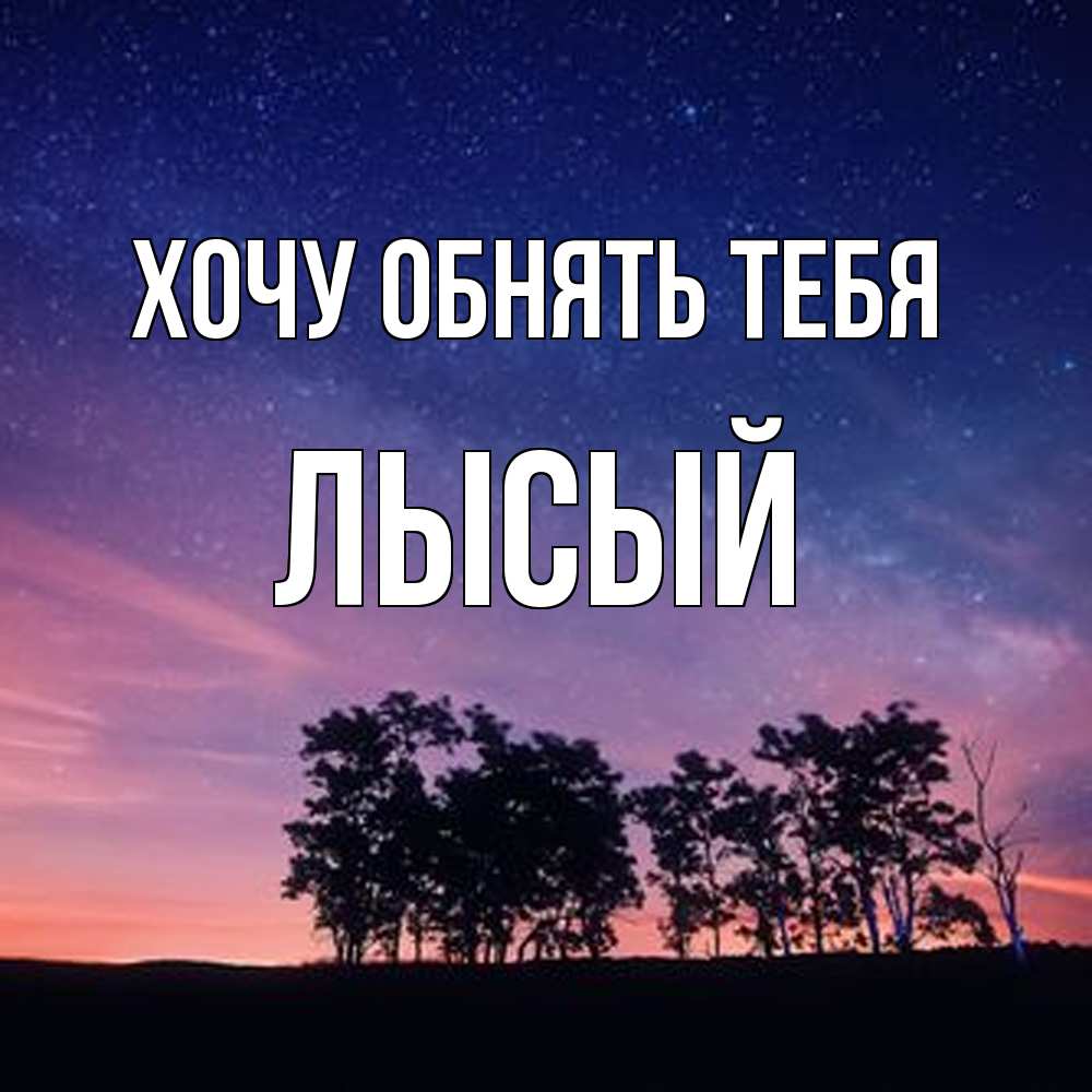 Открытка на каждый день с именем, Лысый Хочу обнять тебя силуэты деревьев Прикольная открытка с пожеланием онлайн скачать бесплатно 