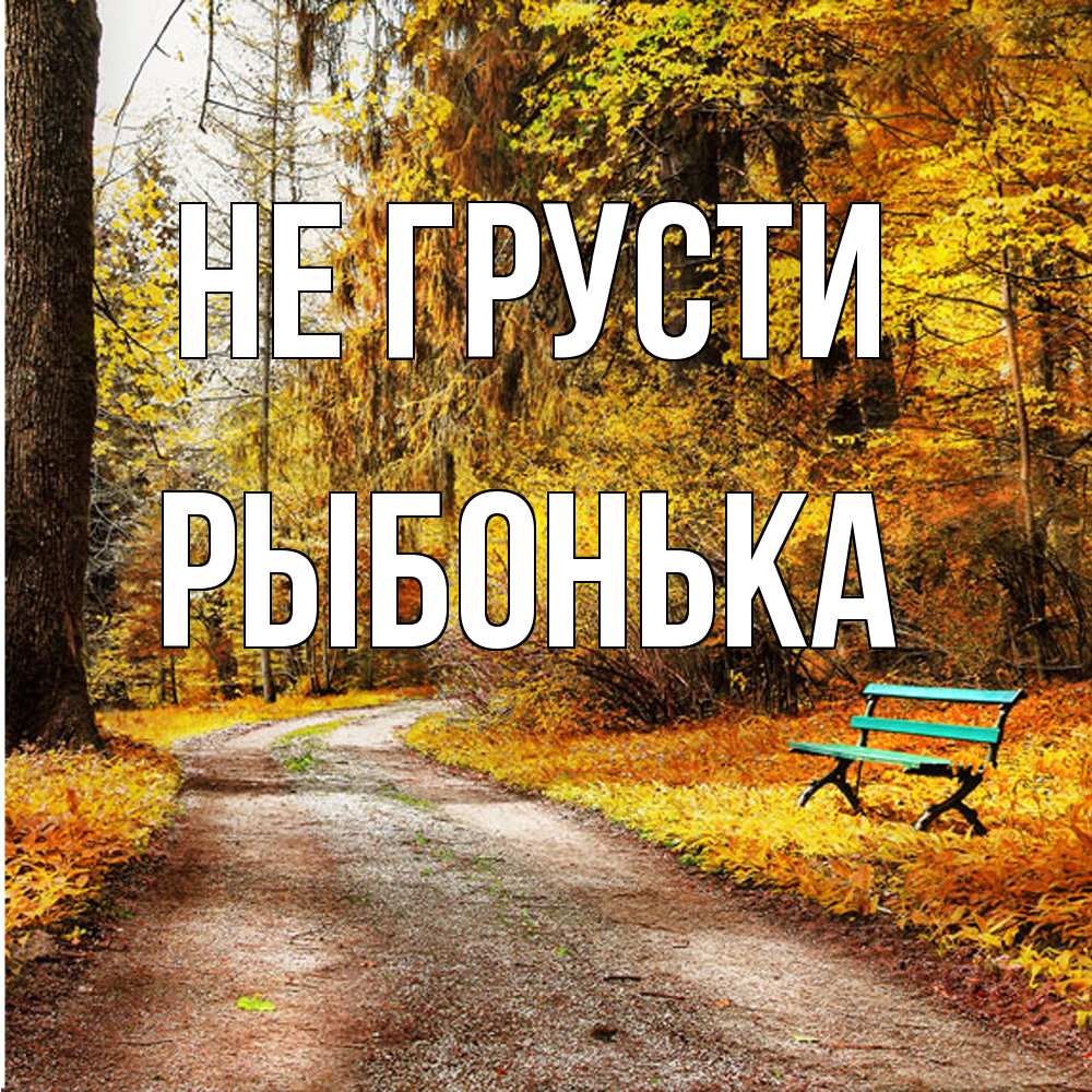 Открытка на каждый день с именем, Рыбонька Не грусти зеленая лавочка Прикольная открытка с пожеланием онлайн скачать бесплатно 