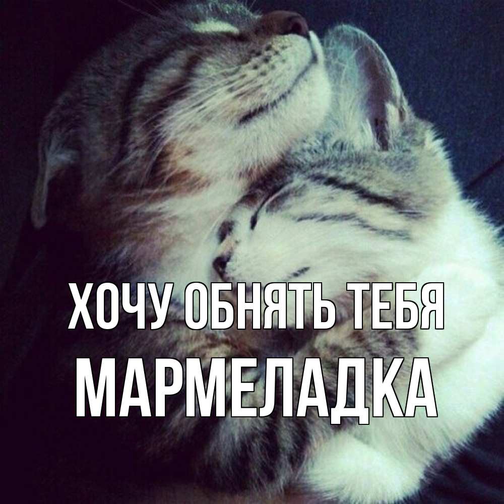 Открытка на каждый день с именем, мармеладка Хочу обнять тебя полосатики Прикольная открытка с пожеланием онлайн скачать бесплатно 