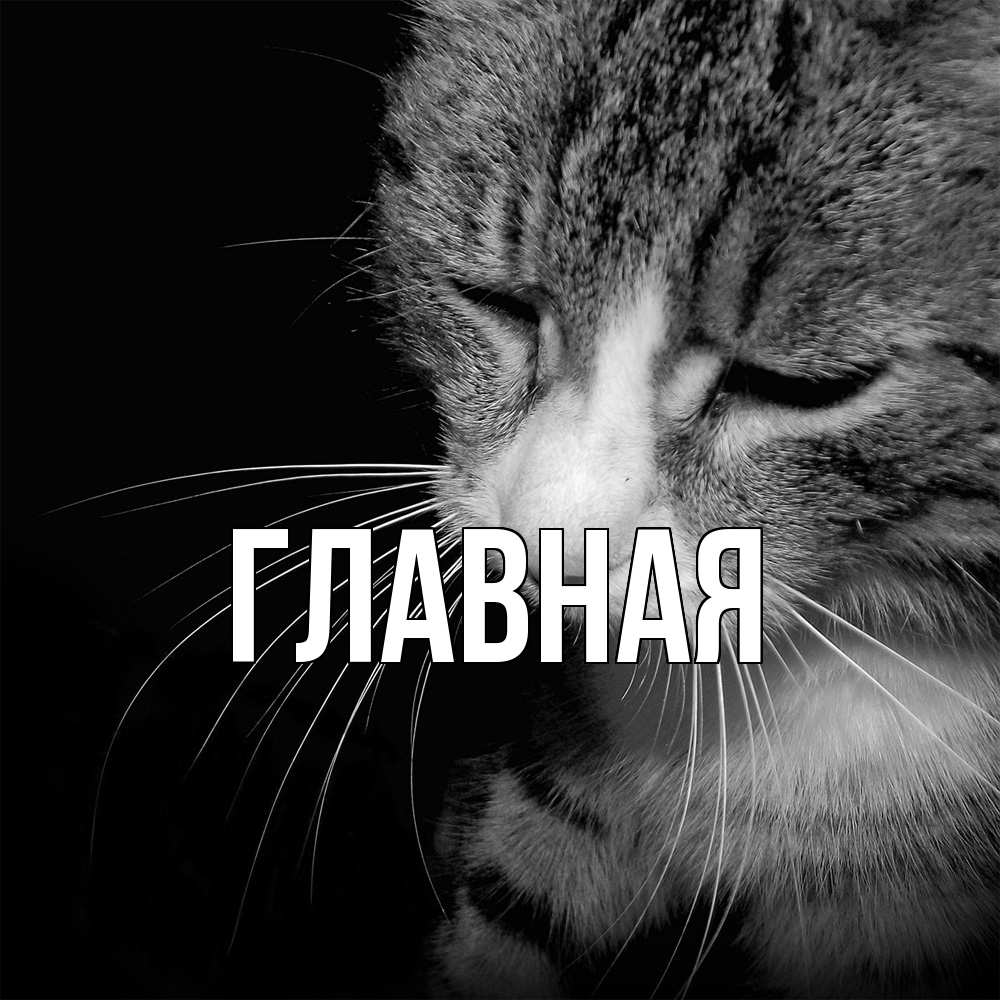 Открытка на каждый день с именем, настя Главная мне скучно Прикольная открытка с пожеланием онлайн скачать бесплатно 