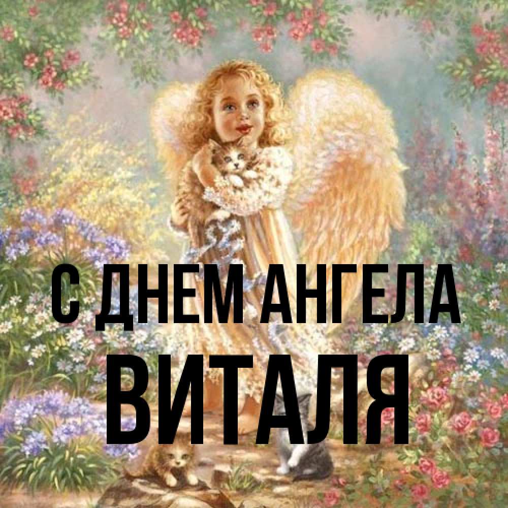 Открытка на каждый день с именем, Виталя С днем ангела держит котенка Прикольная открытка с пожеланием онлайн скачать бесплатно 