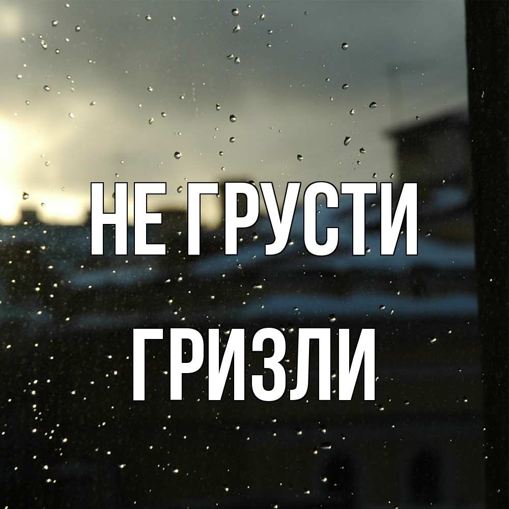 Открытка на каждый день с именем, Гризли Не грусти вид на крыши Прикольная открытка с пожеланием онлайн скачать бесплатно 