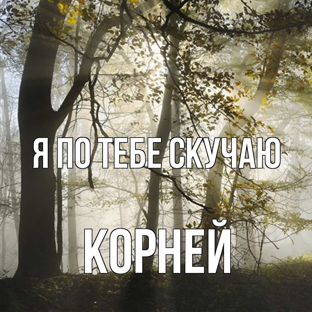Открытка на каждый день с именем, Корней Я по тебе скучаю грустно Прикольная открытка с пожеланием онлайн скачать бесплатно 