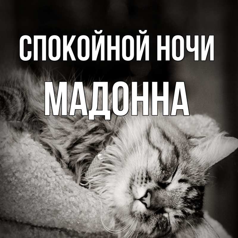 Картинка Спокойной ночи, Мадонна