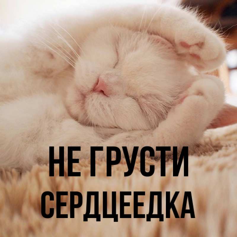 Картинка Не грусти, сердцеедка