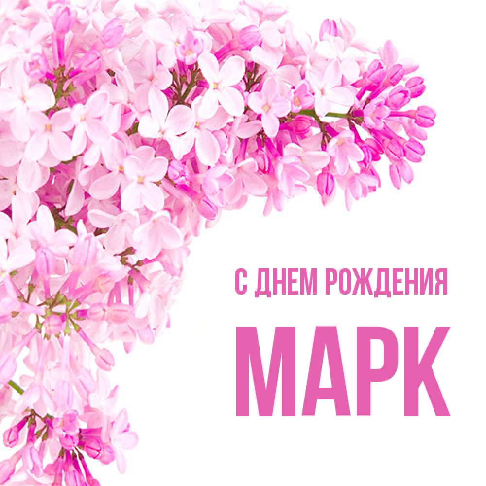 Открытка на каждый день с именем, Марк С днем рождения Сирень на белом фоне Прикольная открытка с пожеланием онлайн скачать бесплатно 