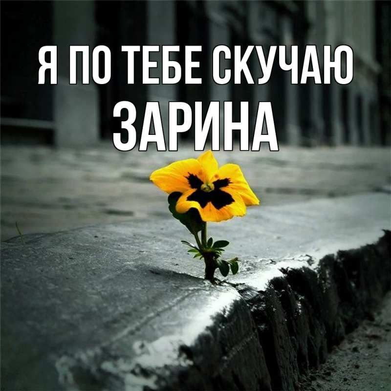 Картинка Я по тебе скучаю, Зарина