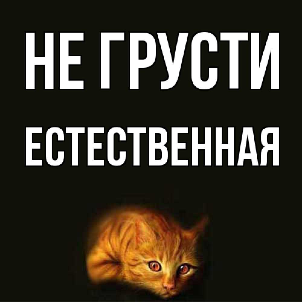 Открытка на каждый день с именем, Естественная Не грусти лежащий кот в темноте Прикольная открытка с пожеланием онлайн скачать бесплатно 