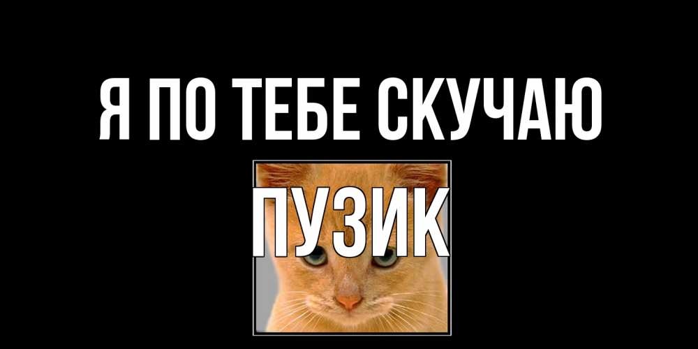 Открытка на каждый день с именем, Пузик Я по тебе скучаю открытки рыжий котенок скучает по тебе Прикольная открытка с пожеланием онлайн скачать бесплатно 