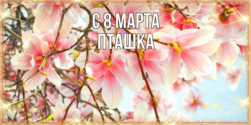 Картинка C 8 МАРТА, пташка