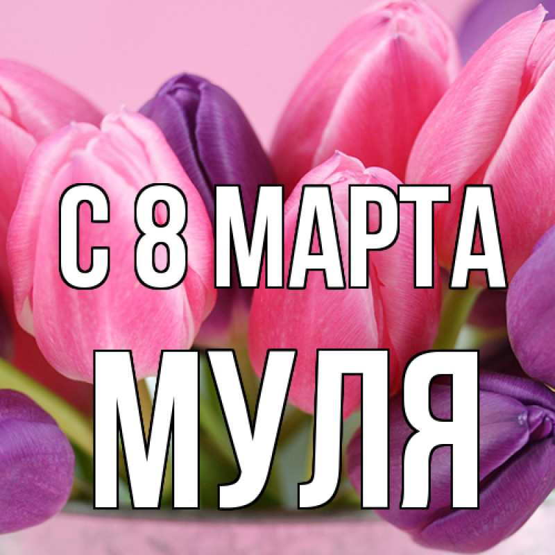 Картинка C 8 МАРТА, Муля