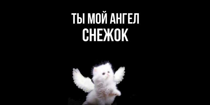 Картинка Ты мой ангел, снежок
