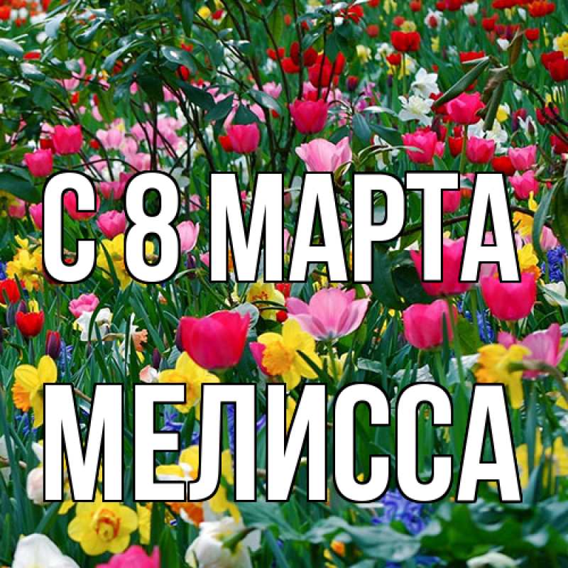 Картинка C 8 МАРТА, Мелисса