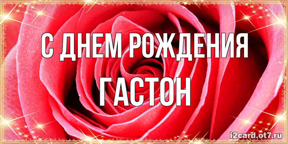 Открытка на каждый день с именем, Гастон С днем рождения розовая роза очень крупный бутон Прикольная открытка с пожеланием онлайн скачать бесплатно 