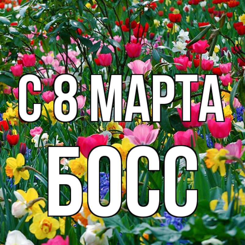 Картинка C 8 МАРТА, Босс