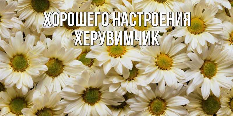 Картинка Хорошего настроения, херувимчик