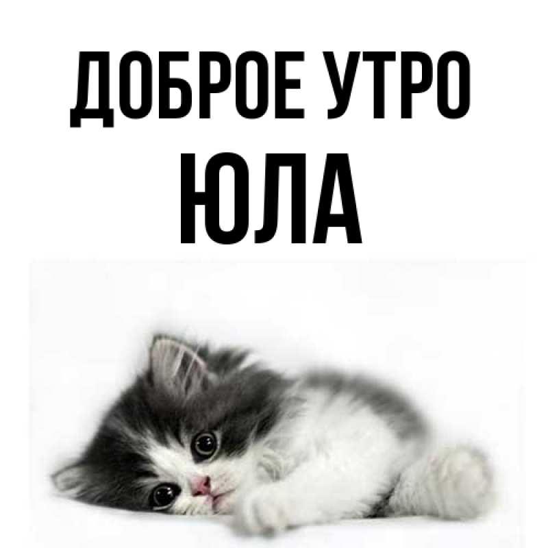 Картинка Доброе утро, юла