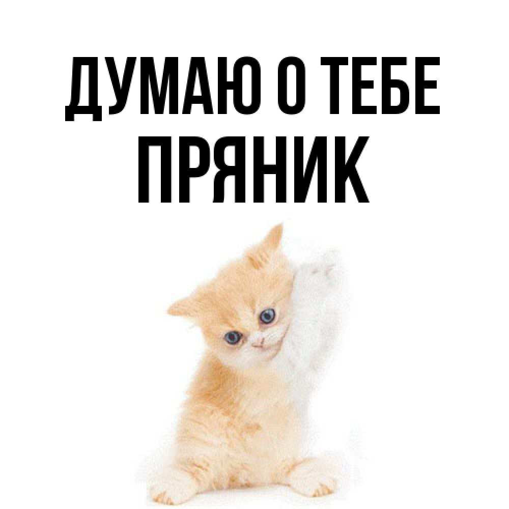 Открытка на каждый день с именем, Пряник Думаю о тебе зверушки и милота Прикольная открытка с пожеланием онлайн скачать бесплатно 