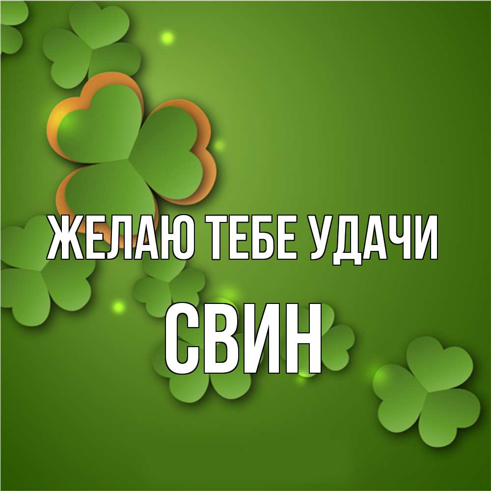 Открытка на каждый день с именем, Свин Желаю тебе удачи много трехлистных листочков клевера Прикольная открытка с пожеланием онлайн скачать бесплатно 
