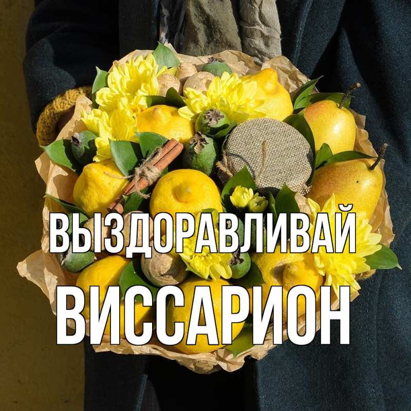 Картинка Выздоравливай, Виссарион