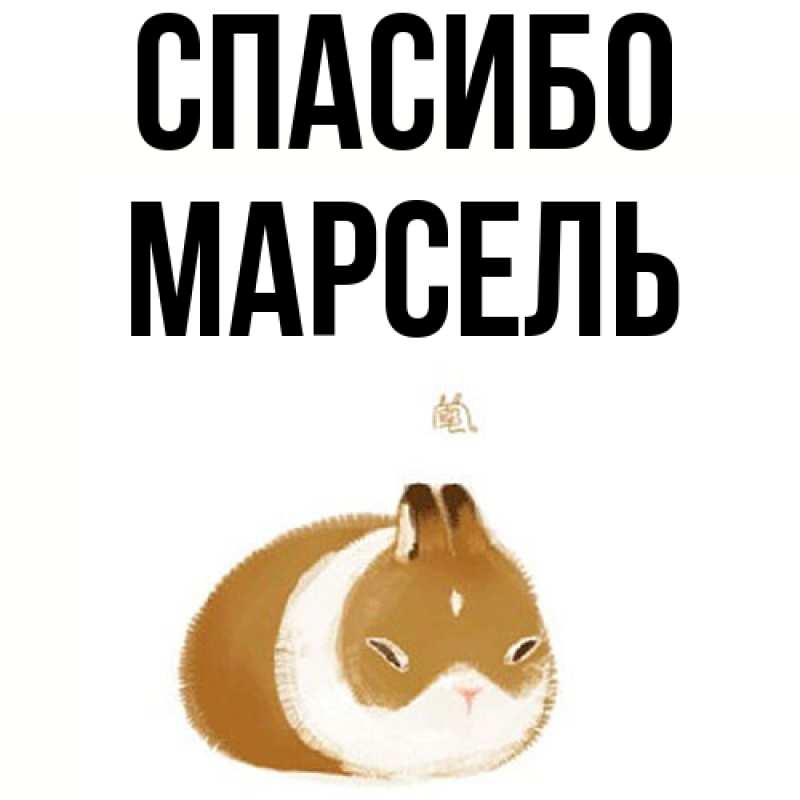 Картинка Спасибо, Марсель