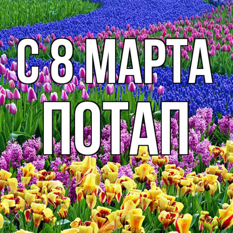Картинка C 8 МАРТА, Потап