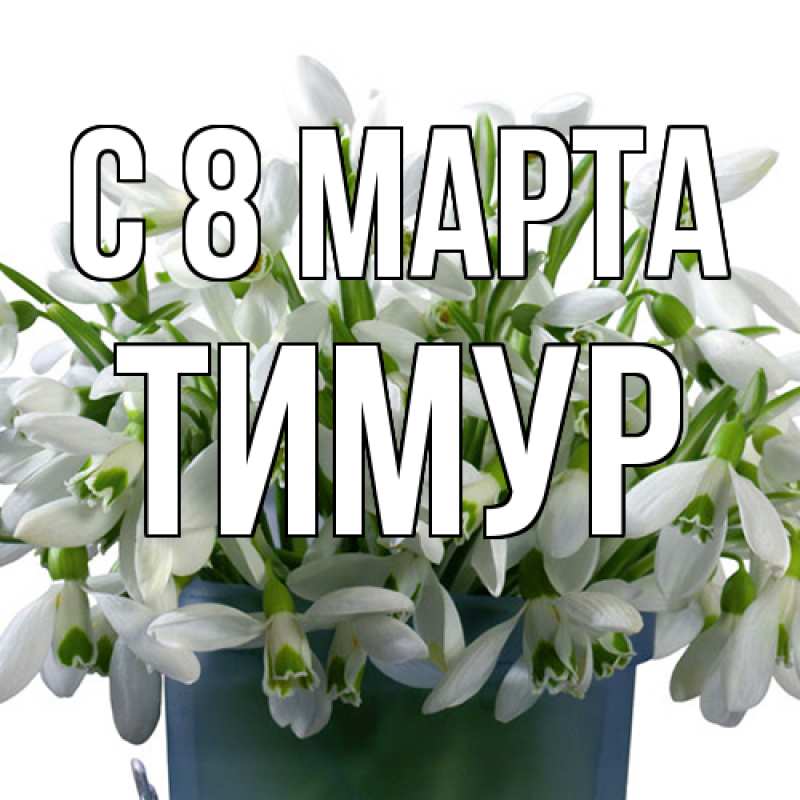 Картинка C 8 МАРТА, Тимур