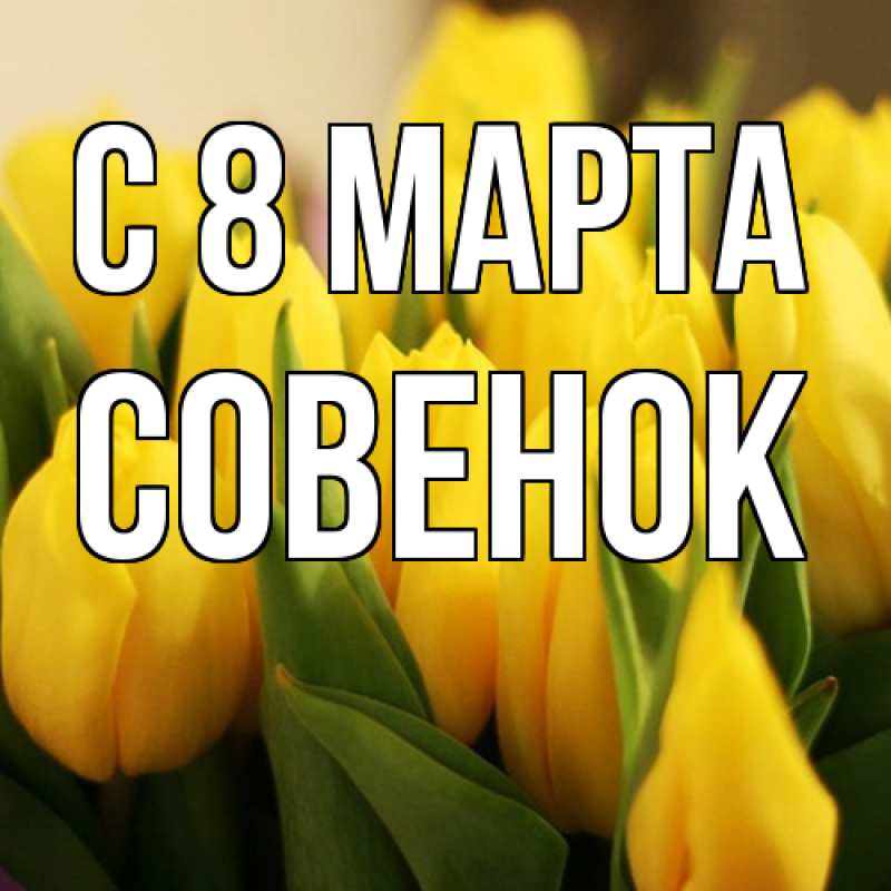 Картинка C 8 МАРТА, совенок