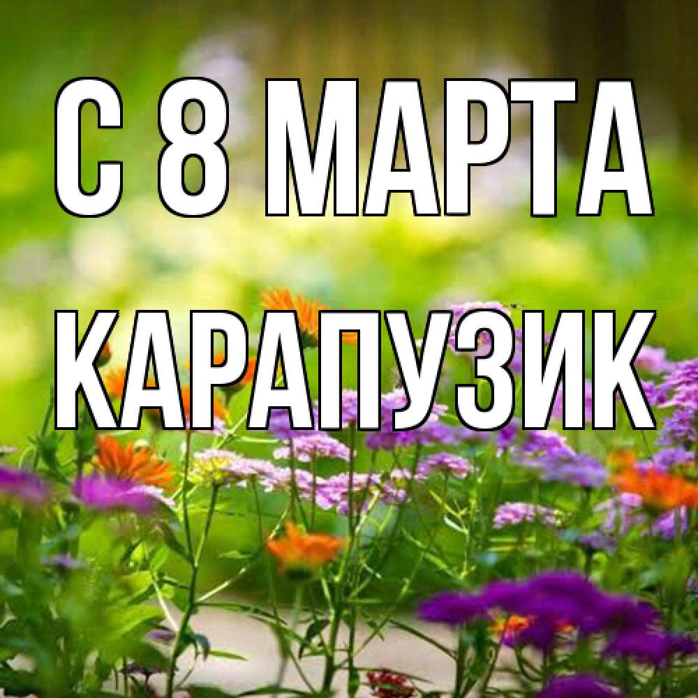 Открытка на каждый день с именем, карапузик C 8 МАРТА цветы Прикольная открытка с пожеланием онлайн скачать бесплатно 