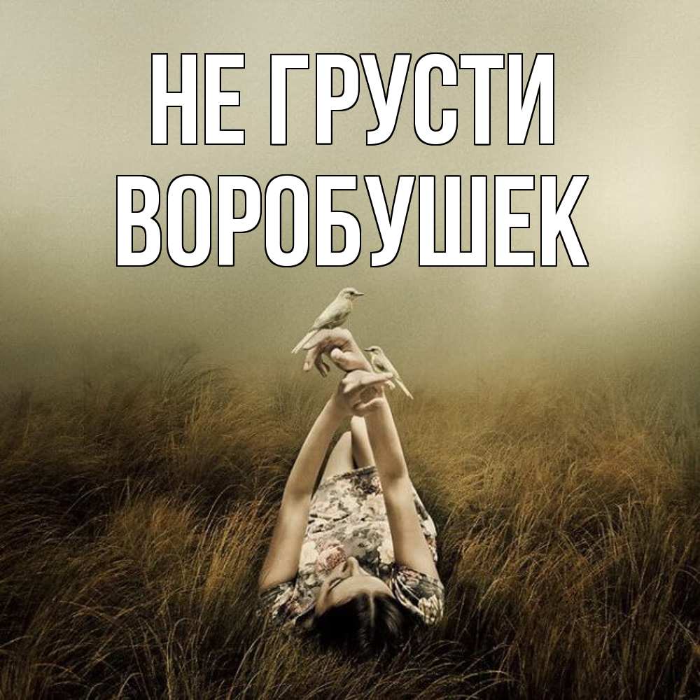 Открытка на каждый день с именем, Воробушек Не грусти поле и туман Прикольная открытка с пожеланием онлайн скачать бесплатно 
