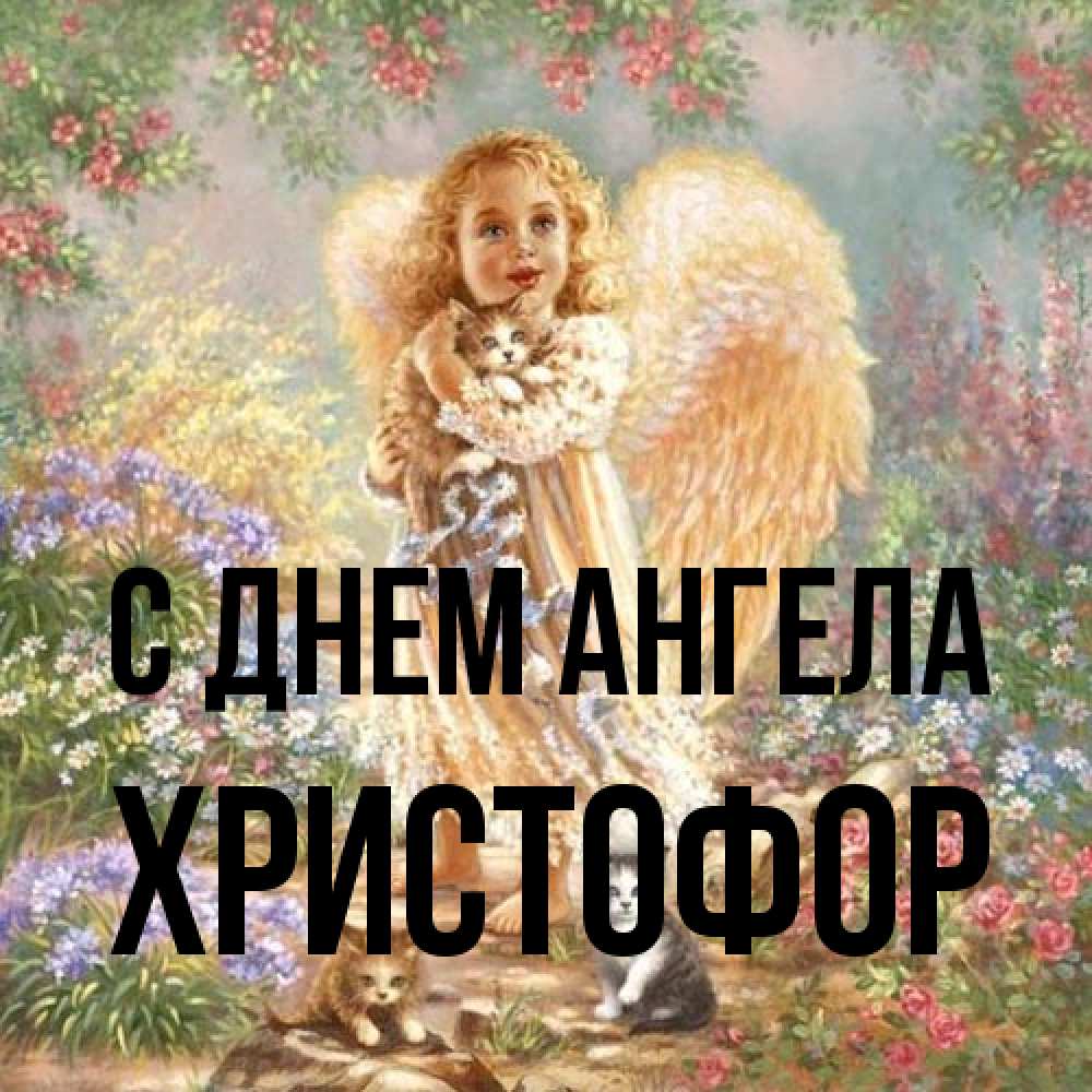 Открытка на каждый день с именем, Христофор С днем ангела держит котенка Прикольная открытка с пожеланием онлайн скачать бесплатно 