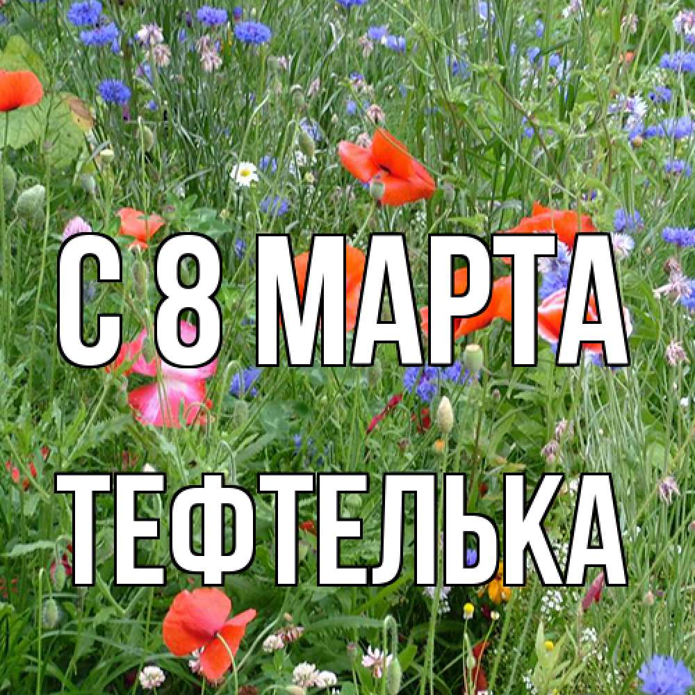 Открытка на каждый день с именем, тефтелька C 8 МАРТА международный женский день 4 Прикольная открытка с пожеланием онлайн скачать бесплатно 