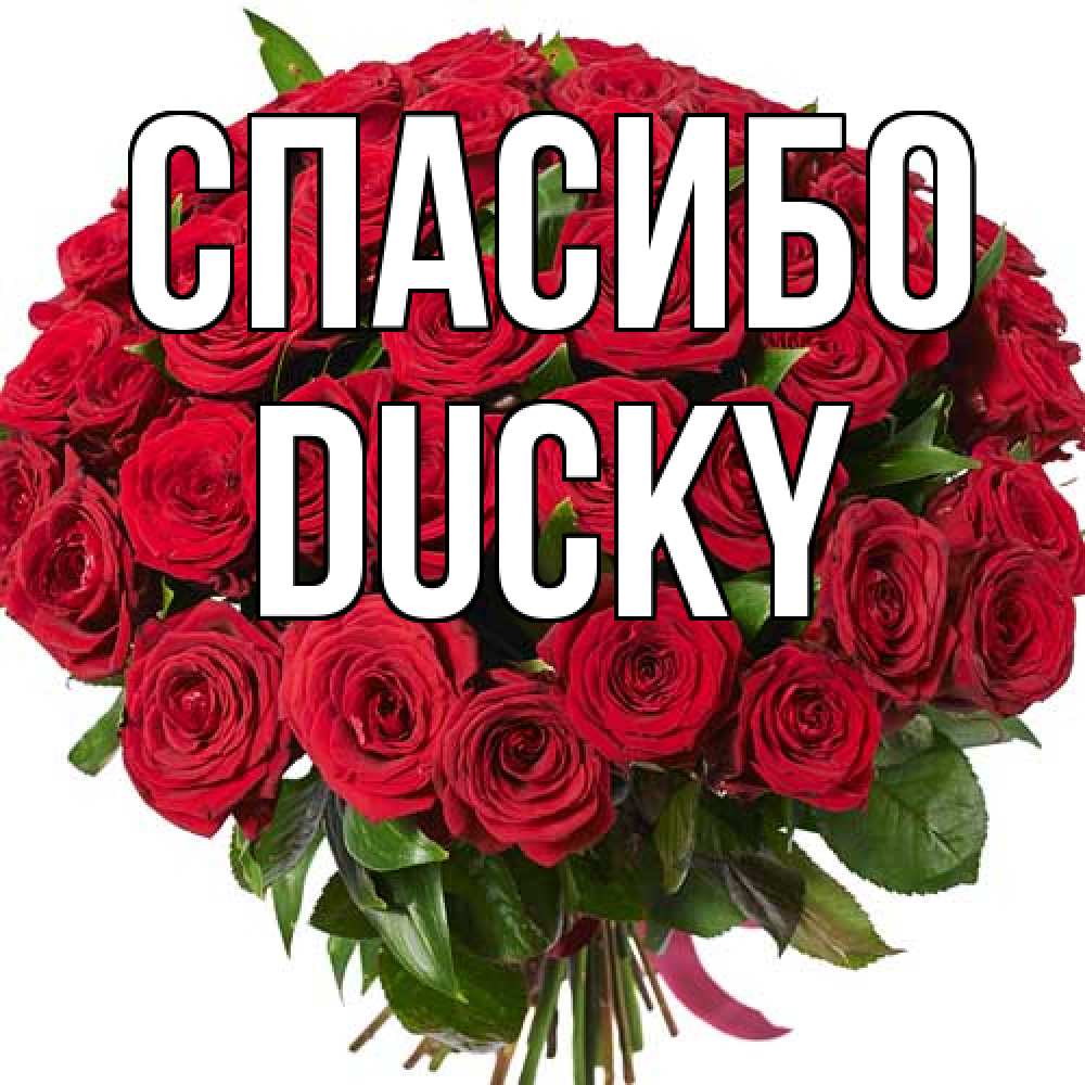 Открытка на каждый день с именем, Ducky Спасибо букет красных роз Прикольная открытка с пожеланием онлайн скачать бесплатно 