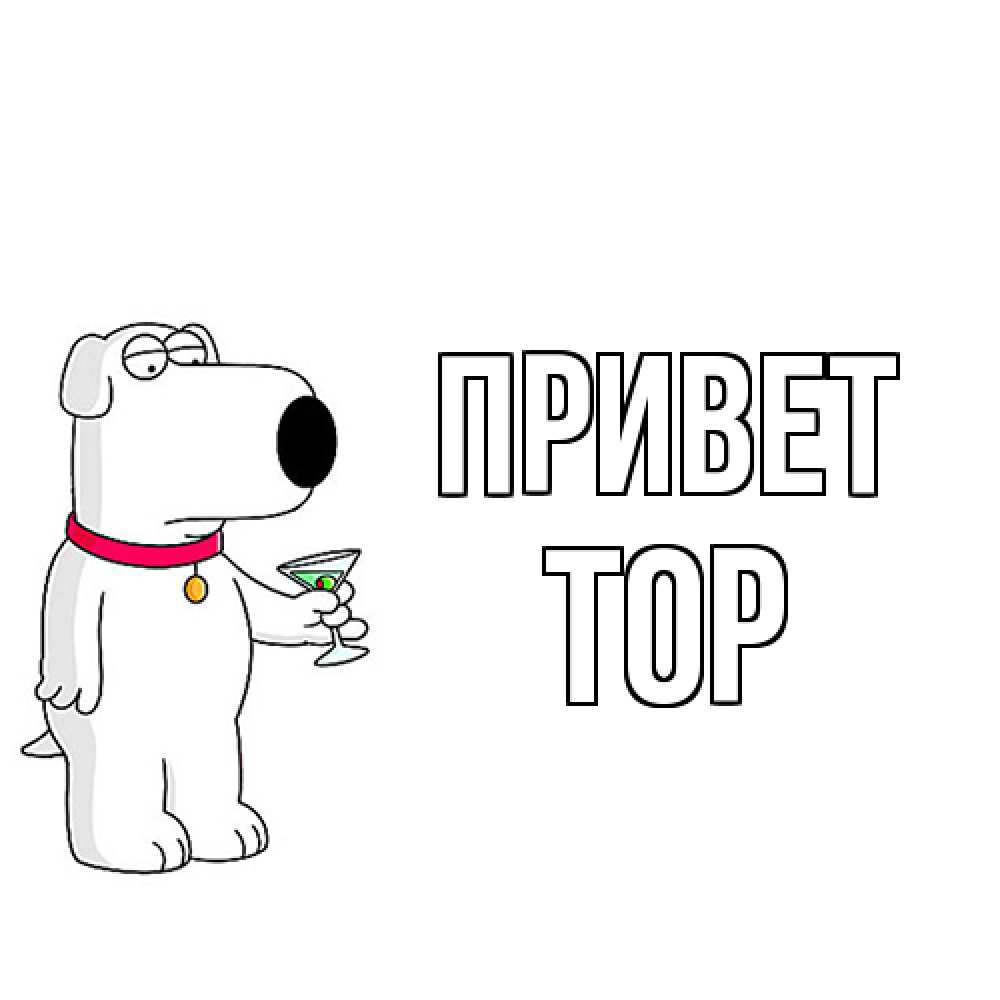 Открытка на каждый день с именем, Тор Привет собака и коктейль Прикольная открытка с пожеланием онлайн скачать бесплатно 