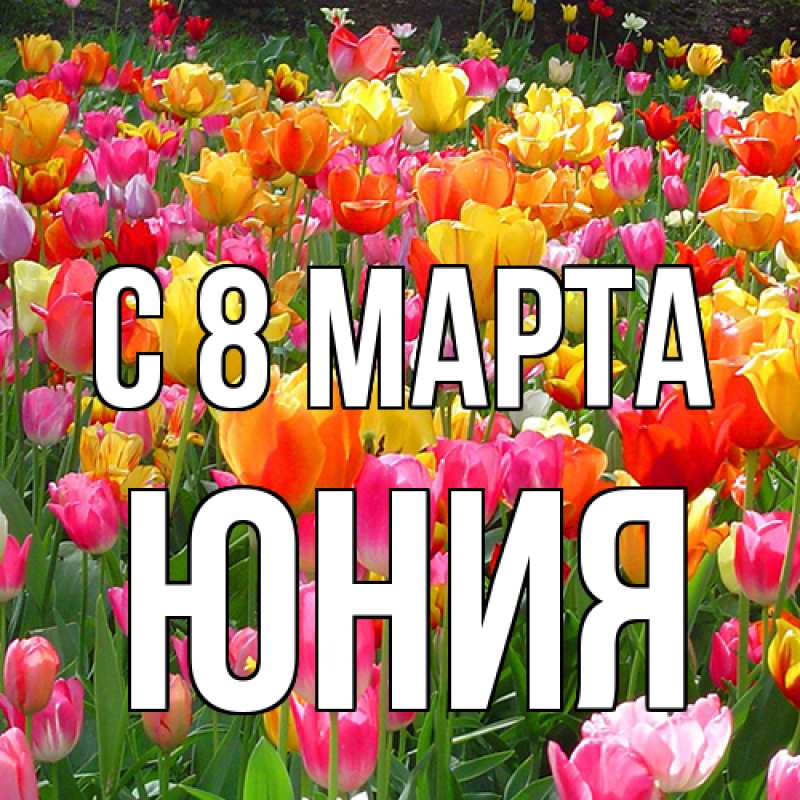 Картинка C 8 МАРТА, Юния