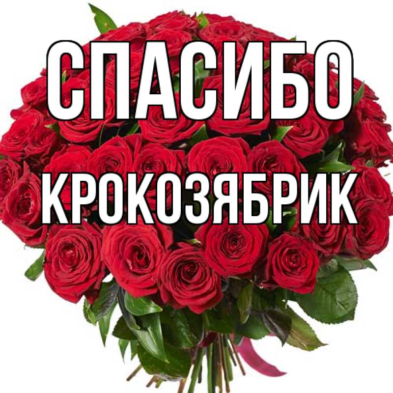 Картинка Спасибо, крокозябрик