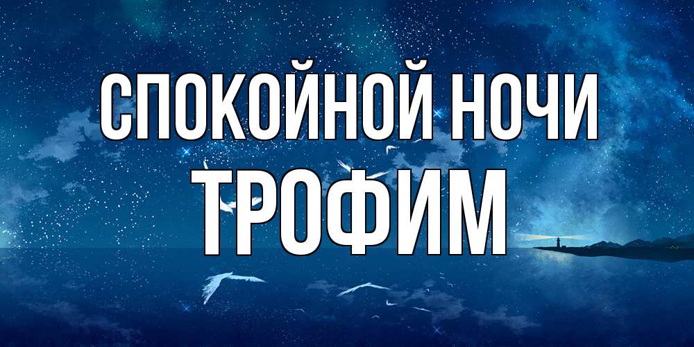 Открытка на каждый день с именем, Трофим Спокойной ночи птицы летят на фоне ночного неба Прикольная открытка с пожеланием онлайн скачать бесплатно 