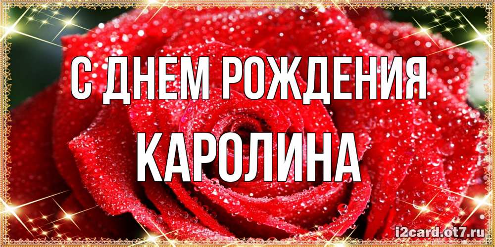 Открытка на каждый день с именем, Каролина С днем рождения роса и роза. открытка с красивой розой Прикольная открытка с пожеланием онлайн скачать бесплатно 
