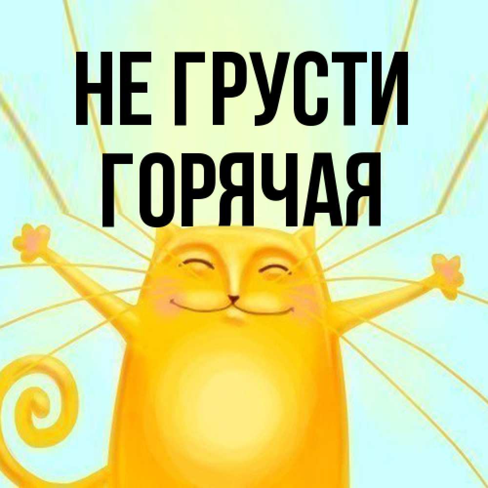 Открытка на каждый день с именем, горячая Не грусти обнимашки усатые Прикольная открытка с пожеланием онлайн скачать бесплатно 