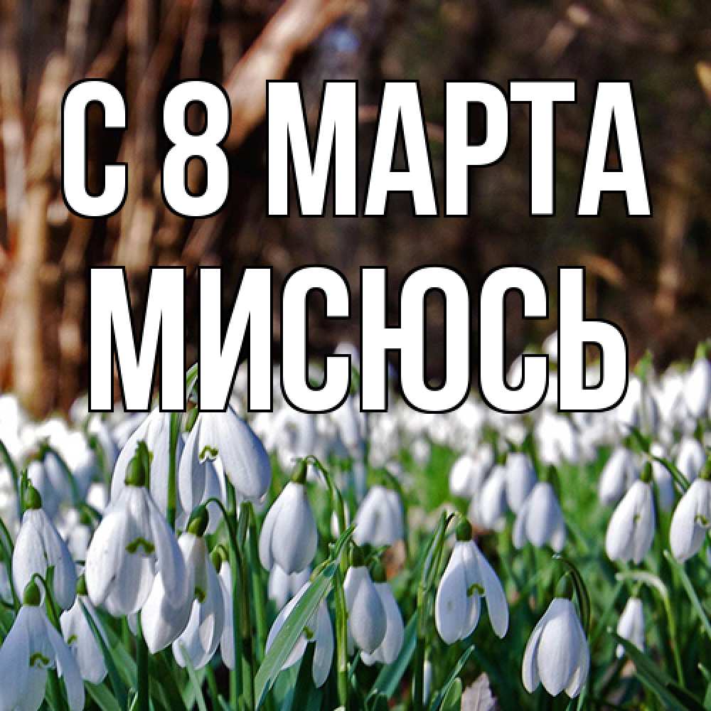 Открытка на каждый день с именем, мисюсь C 8 МАРТА с подснежниками 1 Прикольная открытка с пожеланием онлайн скачать бесплатно 