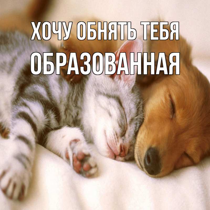 Картинка Хочу обнять тебя, Образованная