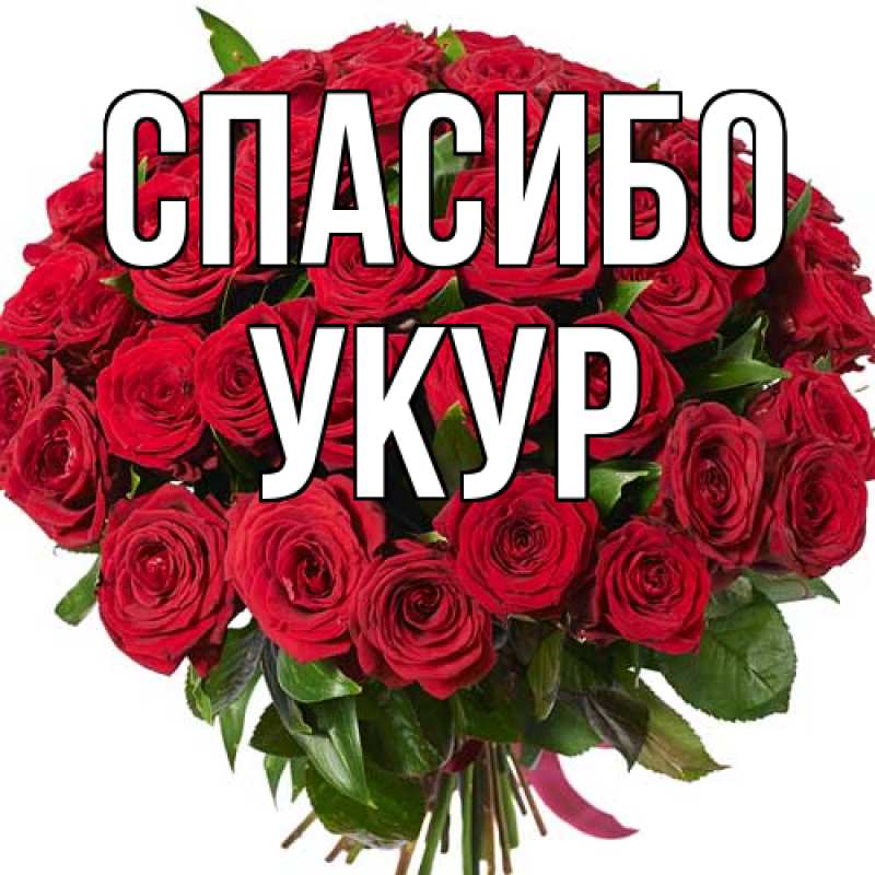 Картинка Спасибо, Укур