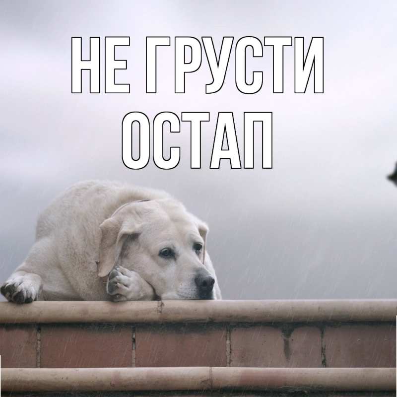 Открытка с именем, Остап, Не грусти