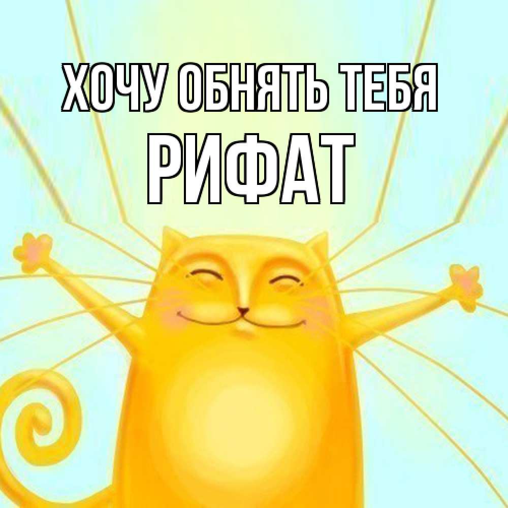 Открытка на каждый день с именем, Рифат Хочу обнять тебя солнечный обнимашечный кот Прикольная открытка с пожеланием онлайн скачать бесплатно 